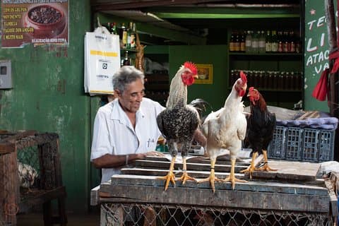 Ivan Bahia, Salvador da Bahia, une charmante tournée sociale, pour rencontrer les habitants