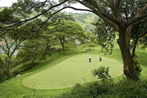 Green Fairways och golfuppehåll (9 dagar)