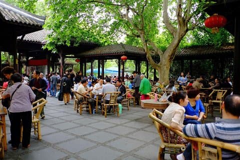 Chengdu Day Trip of Giant Panda and Local Culture Experience