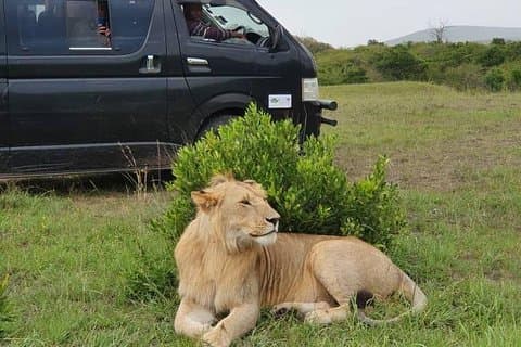 8 Tage Kenia Tansania kombinierte Urlaubssafari Abenteuer