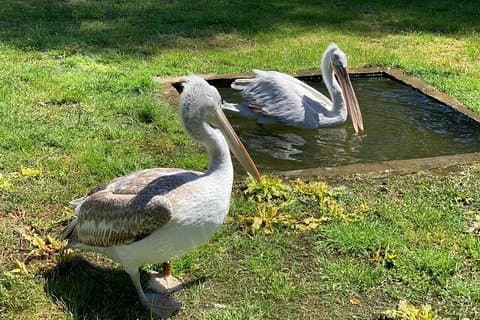 Karavasta lagoon and Boat trip - Daily tour from Tirana
