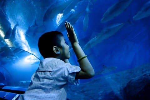 Underwater World Pattaya (bare billett)