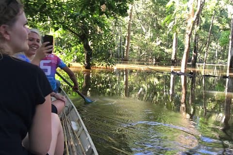 A Whole Day in the Jungle