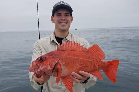 Private Half-Day San Diego Fishing Trip for up to 6 People