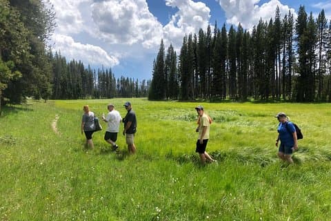 Private versteckte Juwelen von Yellowstone! Mittagessen mit familienfreundlichen Wanderungen inklusive!