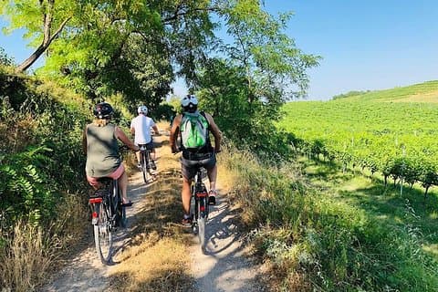 Enjoy a Wine Tasting after a cycling excursion in the magic of Tuscany