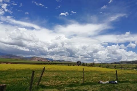 Transfer Cusco_Ollantaytambo or vice versa with city tour and Pisac