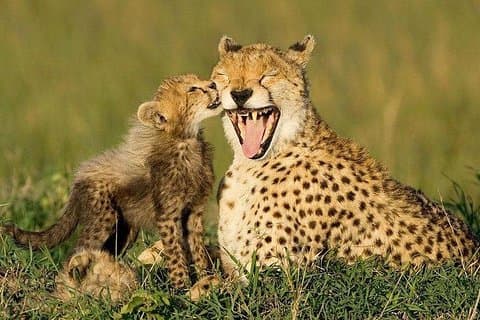 South Africa - Garden Route 4Days with Luxury Accommodation