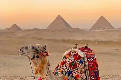 Privat kameltur på Pyramiderna i Giza från Kairo