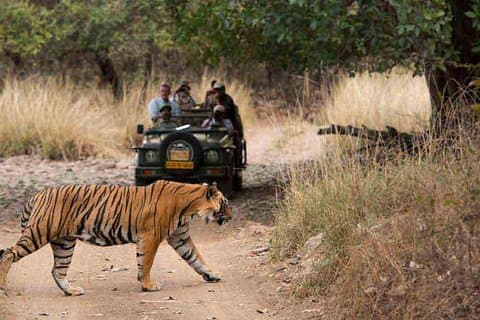 4 dagars Golden Triangle Tour med Ranthambore från Delhi