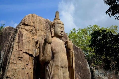 Aukana och Anuradhapura dagstur från Habarana