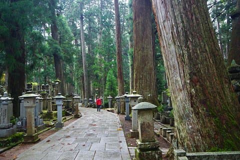 Koyasan Tour Privado de Dia Inteiro