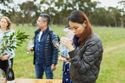 Three Day Charter Margaret River Region (Perth road travel)
