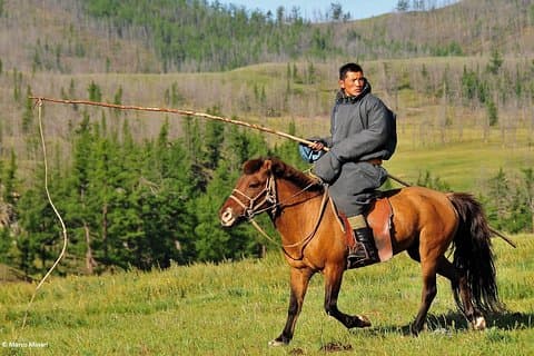 Peaceful Mongolia tour