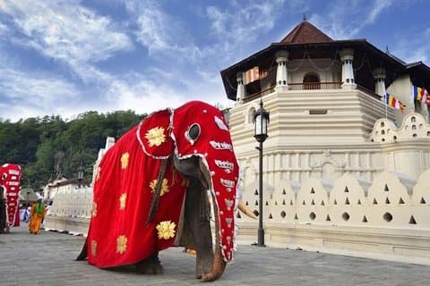 Excursão privada de um dia a Kandy saindo de Galle e Bentota