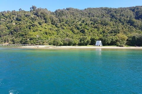 Half-Day Cruise in Marlborough Sounds from Picton