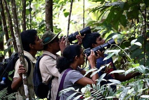 Paseo de observación de aves en el campo de Sigiriya