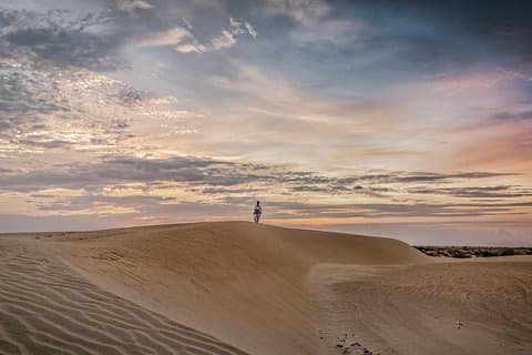 Camel Ride during Sunrise with breakfast