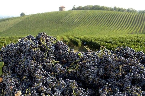 Valtellina Food Tour: Comosøen og bjergene opdager - Privat tur