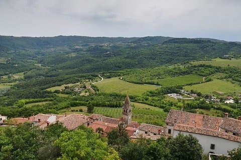 Full day tour of Istria