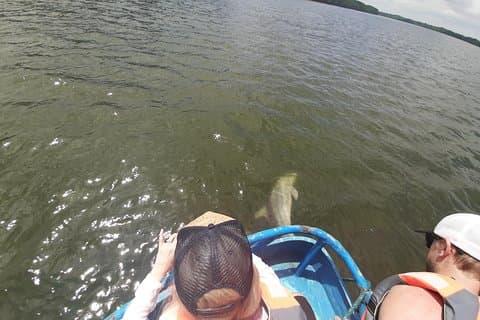Dolphin Watching i Puerto El Morro fra Guayaquil