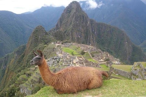 Udforsk Machu Picchu: Heldagstur fra Cusco