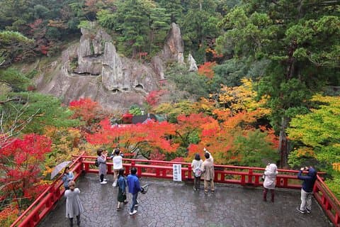 Fukui private full day/Photoshoot by professional photographer