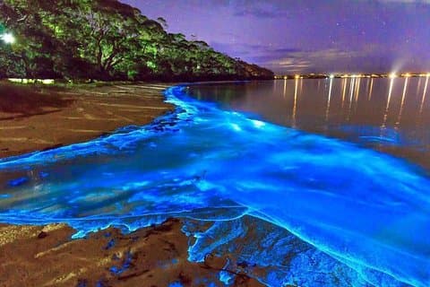 Luminous Lagoon en Rose Hall Great House Night Tour