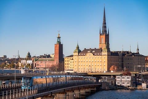 Delta i Shore Excursion: Stockholms höjdpunkter med besök Vasa Museum