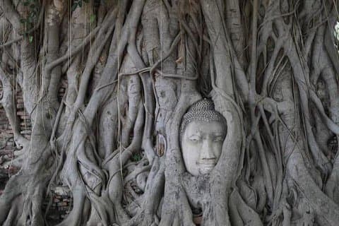 Ayutthaya Sunset Boat Ride & Berömda sevärdheter Tour - Bangkok