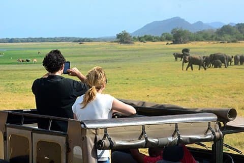 Yala Safari (5 dager, 4 netter)