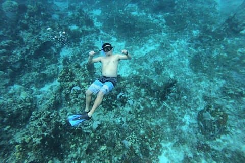 Amazing Snorkel at Cozumel Reef! Round Transportation from Tulum