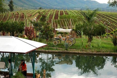 Wine Testing Tour i Taunggyi, Myanmar