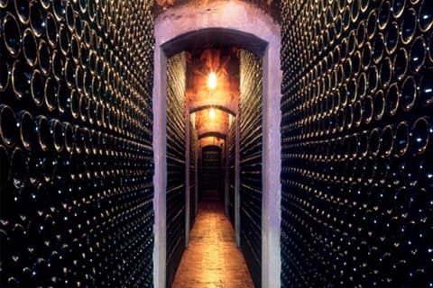 Bezoek en wijnproeverij bij BODEGA PIRINEOS