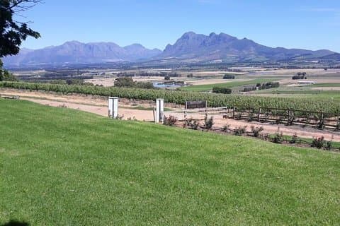 Wine Tasting in Stellenbosch, Franschhoek & Paarl fees included.