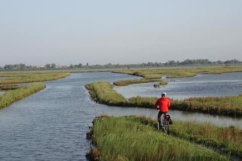 Bike, boat and taste between Sile Park and Venice Lagoon