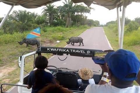3 days Kinshasa Congo River and N’sele park experience