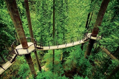 Hotell i nærheten av Capilano Suspension Bridge & Grouse Mountain Tour
