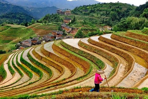 2-Days Guilin Tour Including the 4 Star Boat and Yangshuo and Longji Terraces