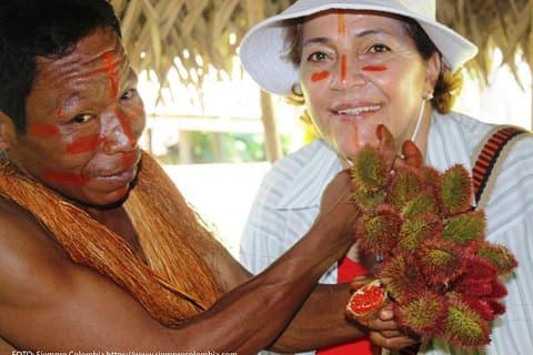 Arapaima Experience : Indigenous Communities & Tree House.