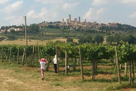 San Gimignano Monteriggioni Toscane Chianti wijnproeverij Fullday vanuit Florence