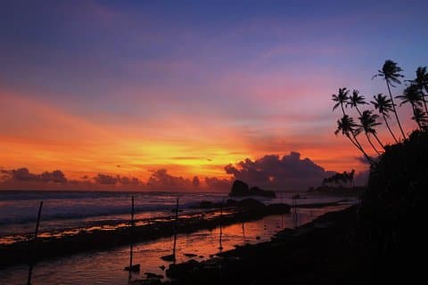 9 dage Sri Lanka Magical Paradise Tour