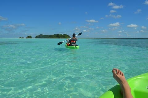 Bacalar Seven Color Lagoon og Mayan Experience Tour fra Costa Maya