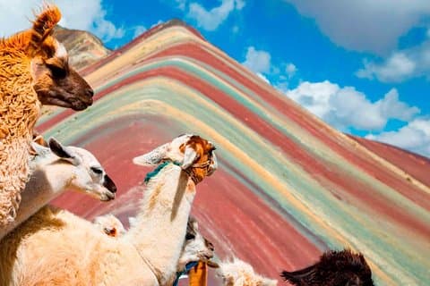Utflykt till Rainbow Mountain med Coca Ceremony | Prívate Tour |