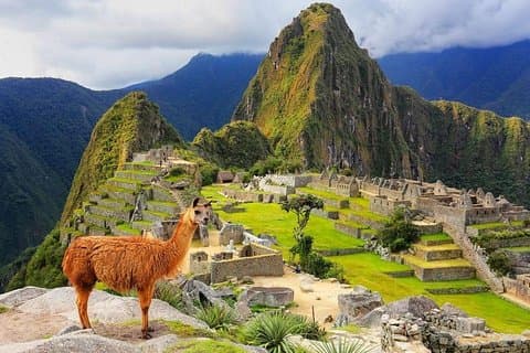 Ausflug nach MachuPicchu von Cusco mit Mittagessen | Private Dienstleistung|