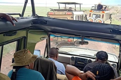 Ngorongoro National Park og Game Drive: Guided Day Tour fra Arusha