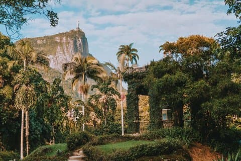 Rio DE Janeiro Botaniska Trädgård & Tijuca Skogstur