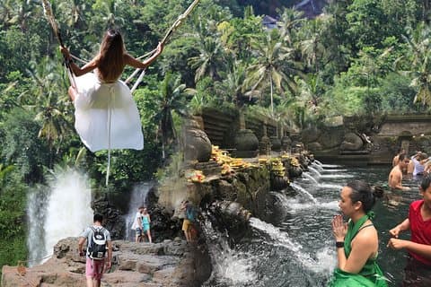 Heldagstur til Best of Ubud med jungelsving