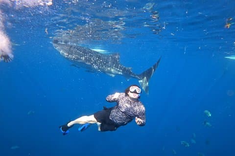 Cebu Whalesharks, Sumilon Whitesand & Kawasan Waterfalls