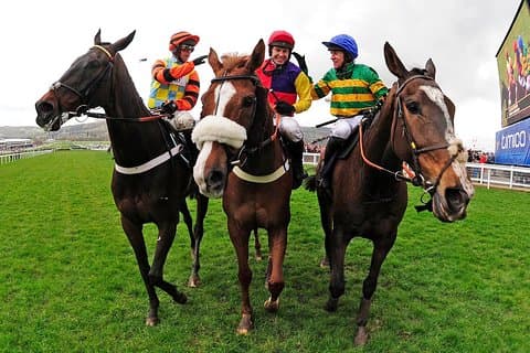 En dag på Races & the Horse Lovers Tour